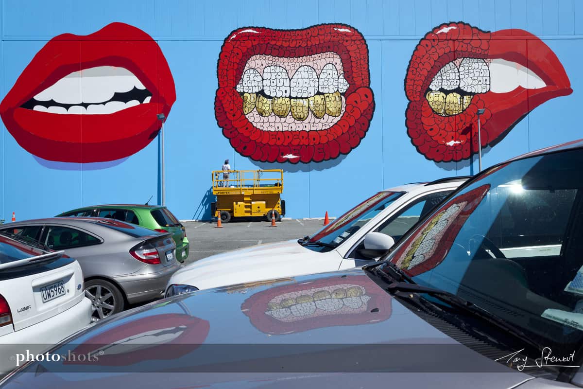 Graffiti street Art Christchurch Feb 2015 Artscape Project