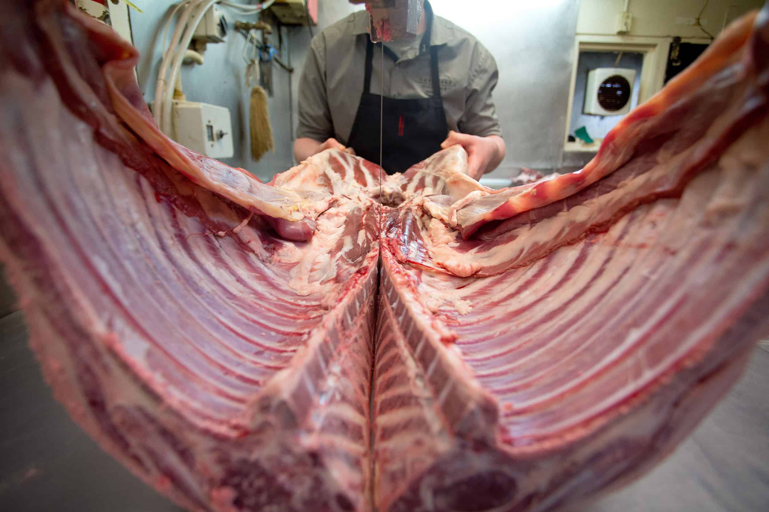 Butcher slices meat carcass with band saw.