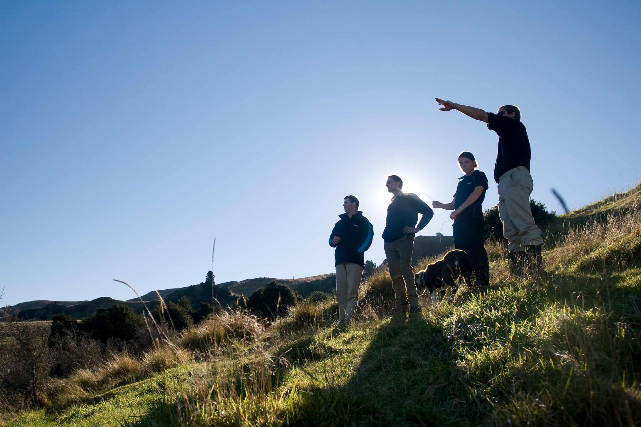 Farm staff and reps survey hillside pasture.