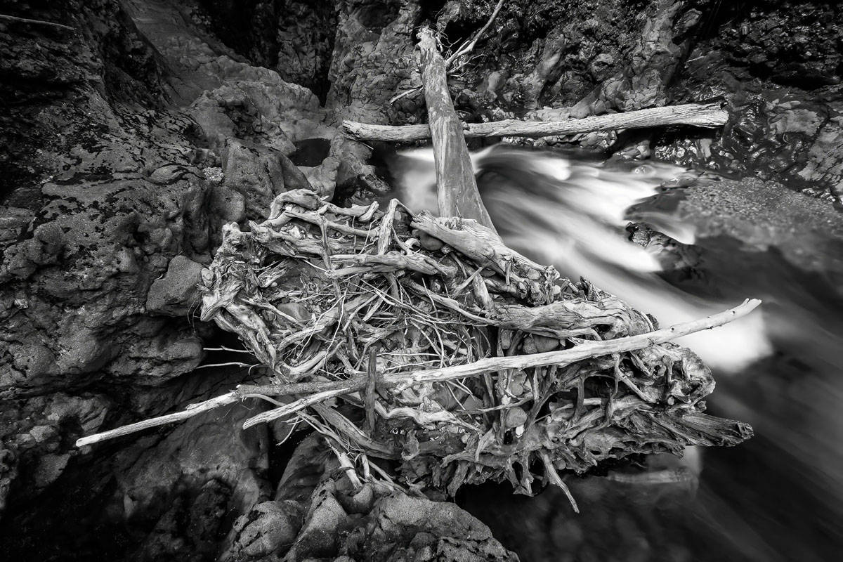 Kaimanawa Stump in black in white with river movement.