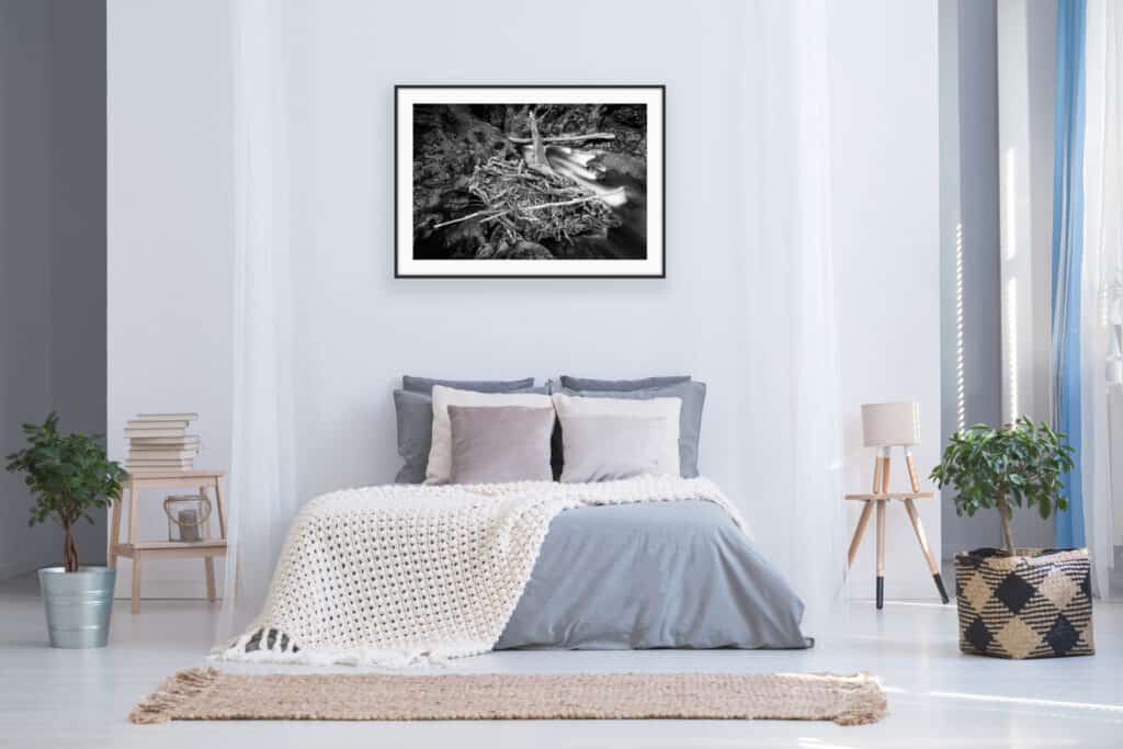 Mock up of Kaimanawa stump fine art print