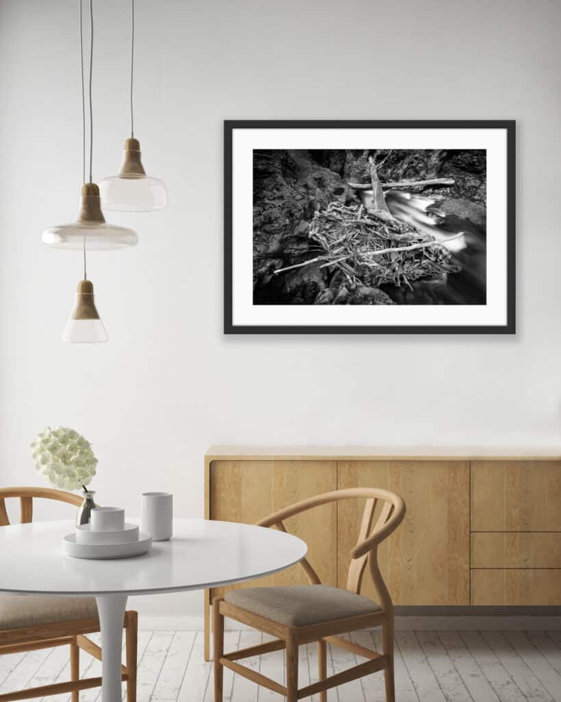 Kaimanawa stump fine art photo layout in lounge