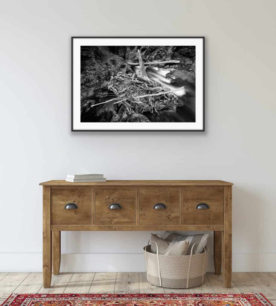 Kaimanawa stump fine art photo layout imposed in room view